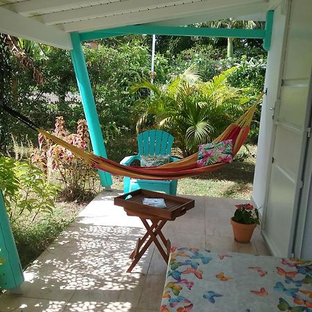 Gite Cajou Dans Jardin Tropical Ventile A Sainte-Anne Kültér fotó