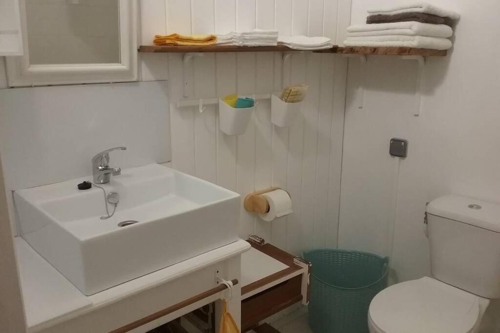 Gite Cajou Dans Jardin Tropical Ventile A Sainte-Anne Kültér fotó