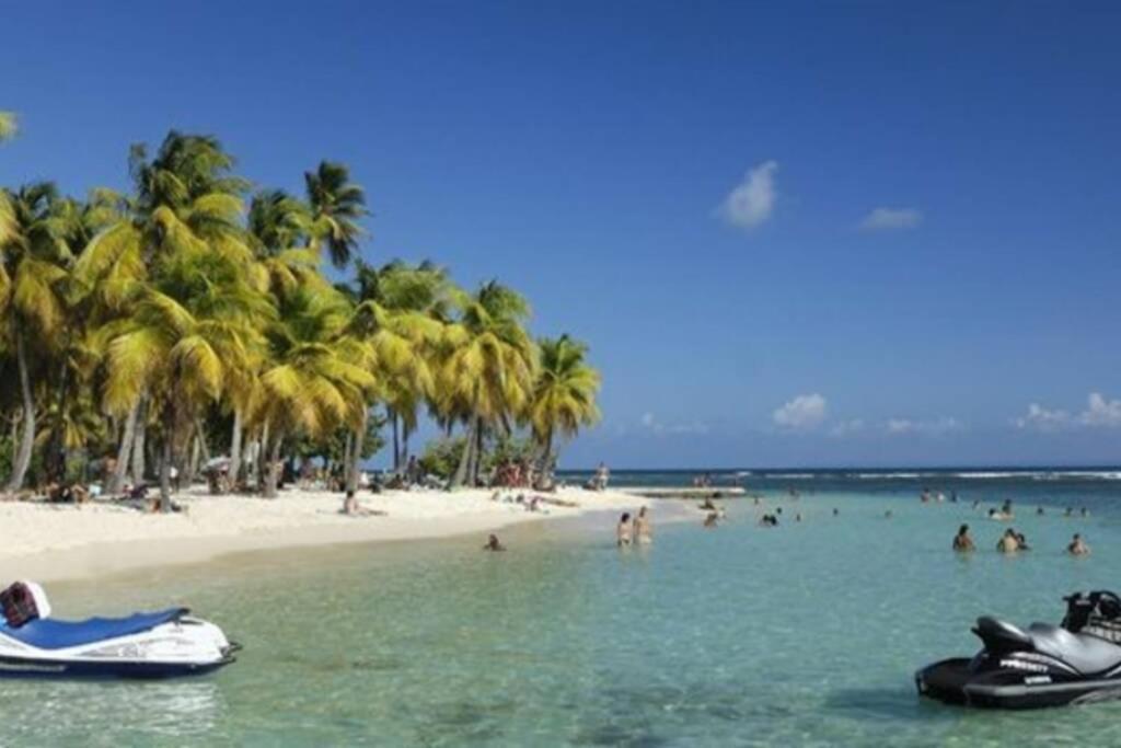 Gite Cajou Dans Jardin Tropical Ventile A Sainte-Anne Kültér fotó