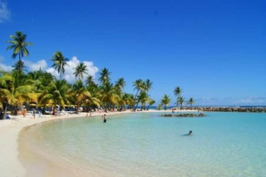 Gite Cajou Dans Jardin Tropical Ventile A Sainte-Anne Kültér fotó
