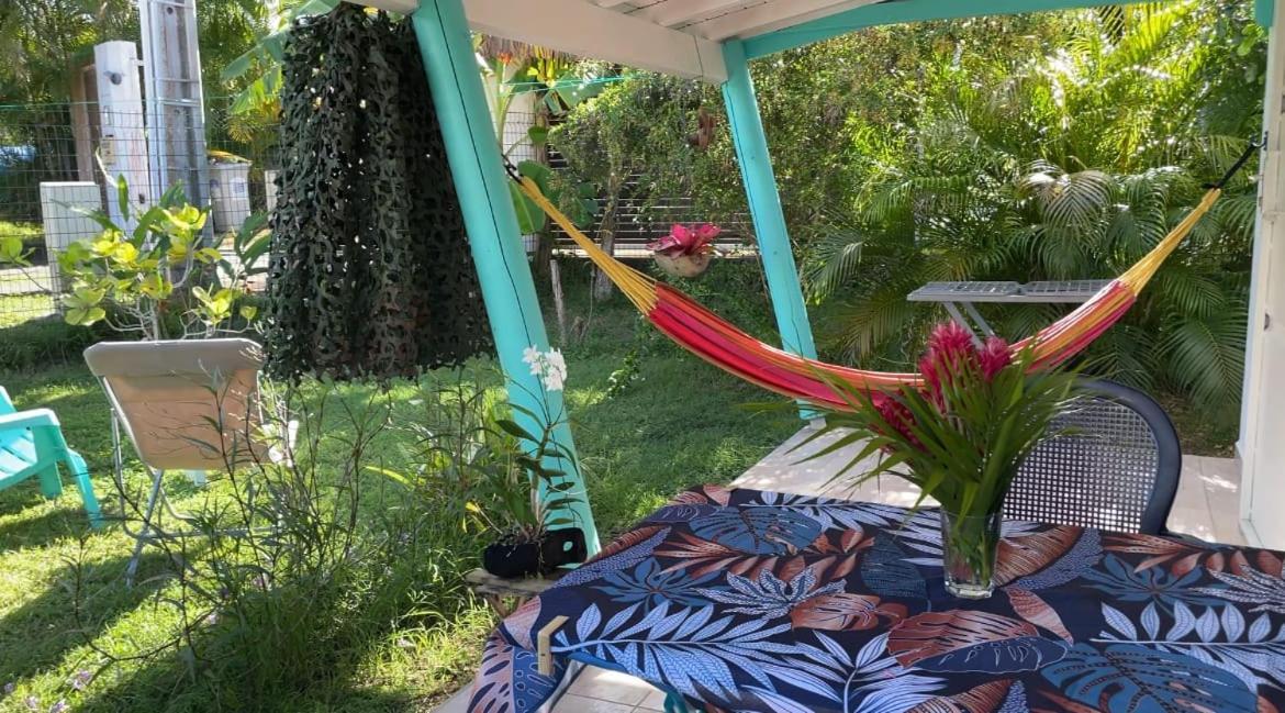 Gite Cajou Dans Jardin Tropical Ventile A Sainte-Anne Kültér fotó