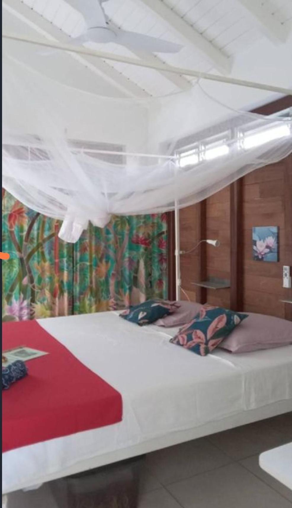Gite Cajou Dans Jardin Tropical Ventile A Sainte-Anne Kültér fotó