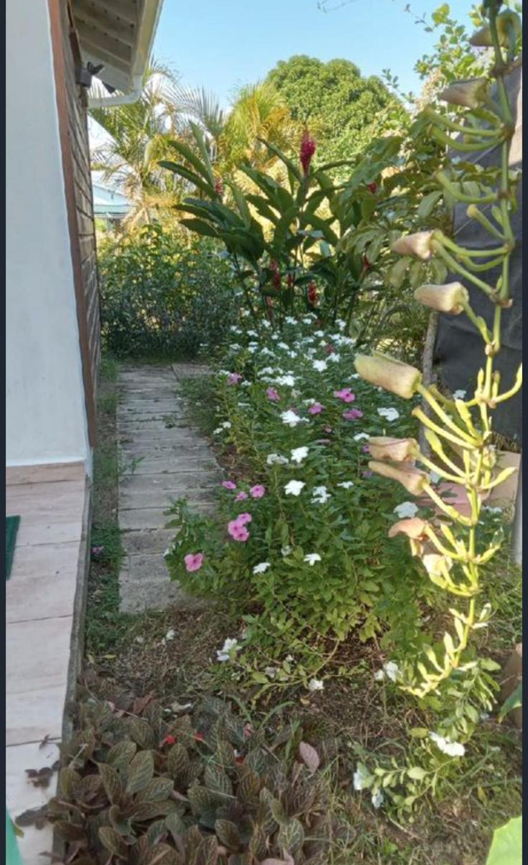 Gite Cajou Dans Jardin Tropical Ventile A Sainte-Anne Kültér fotó